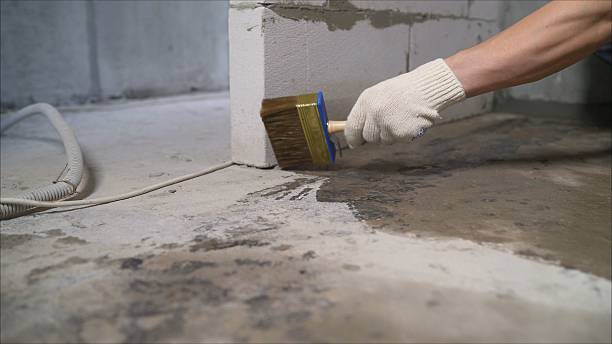 SJ Waterproofing Pros Crawl Space Encapsulation coverage map for Eclectic, AL and surrounding area